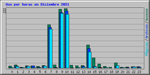 Uso por horas en Diciembre 2021